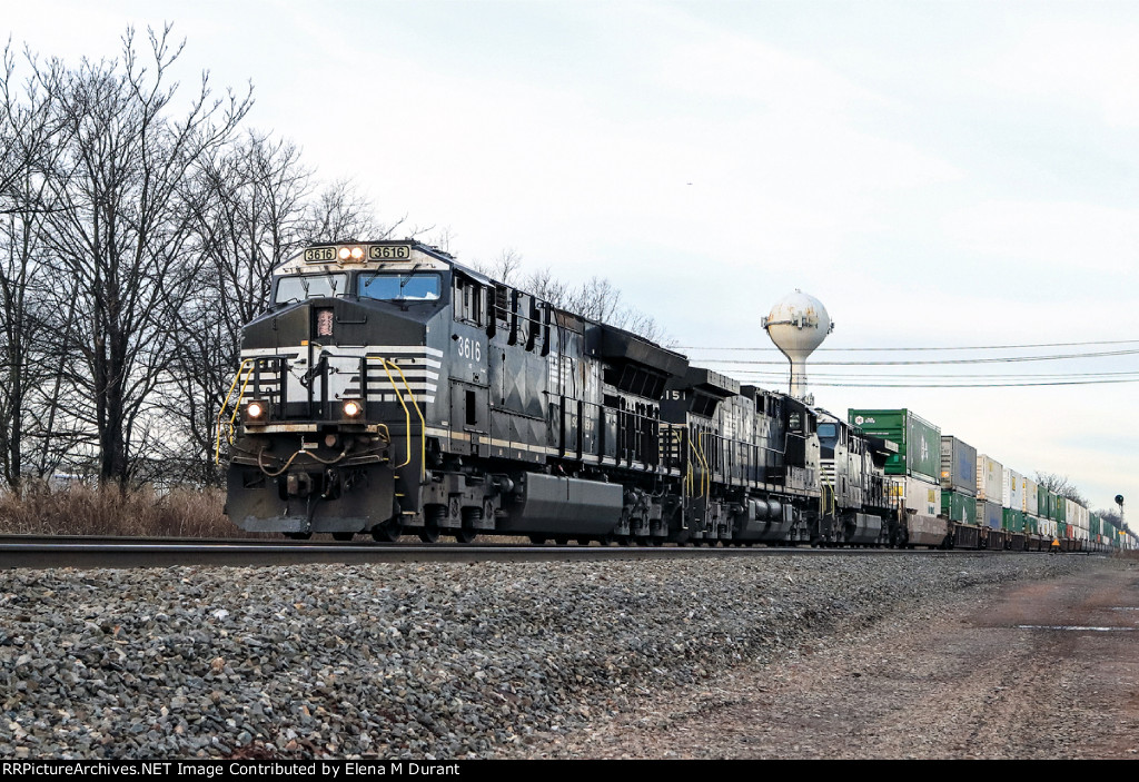 NS 3616 on 22X